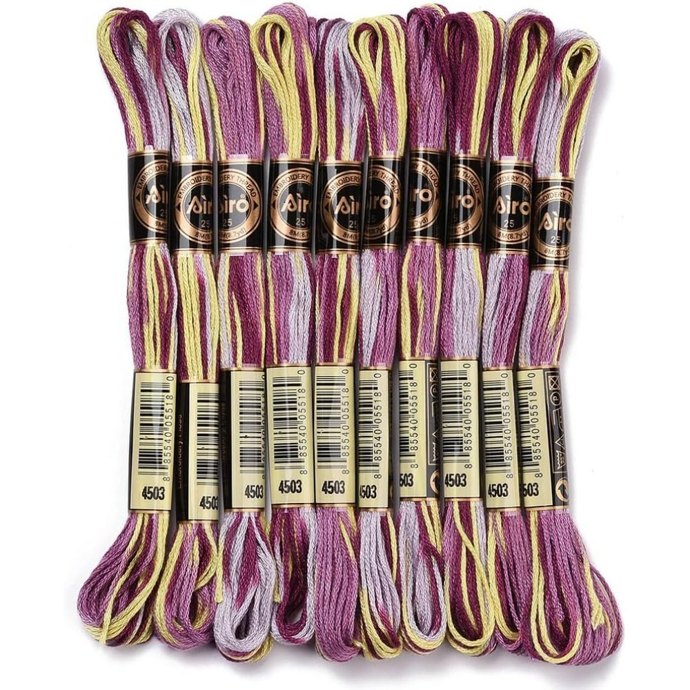 Embroidery Thread - 6 Strands Purple Variegated Embroidery Floss