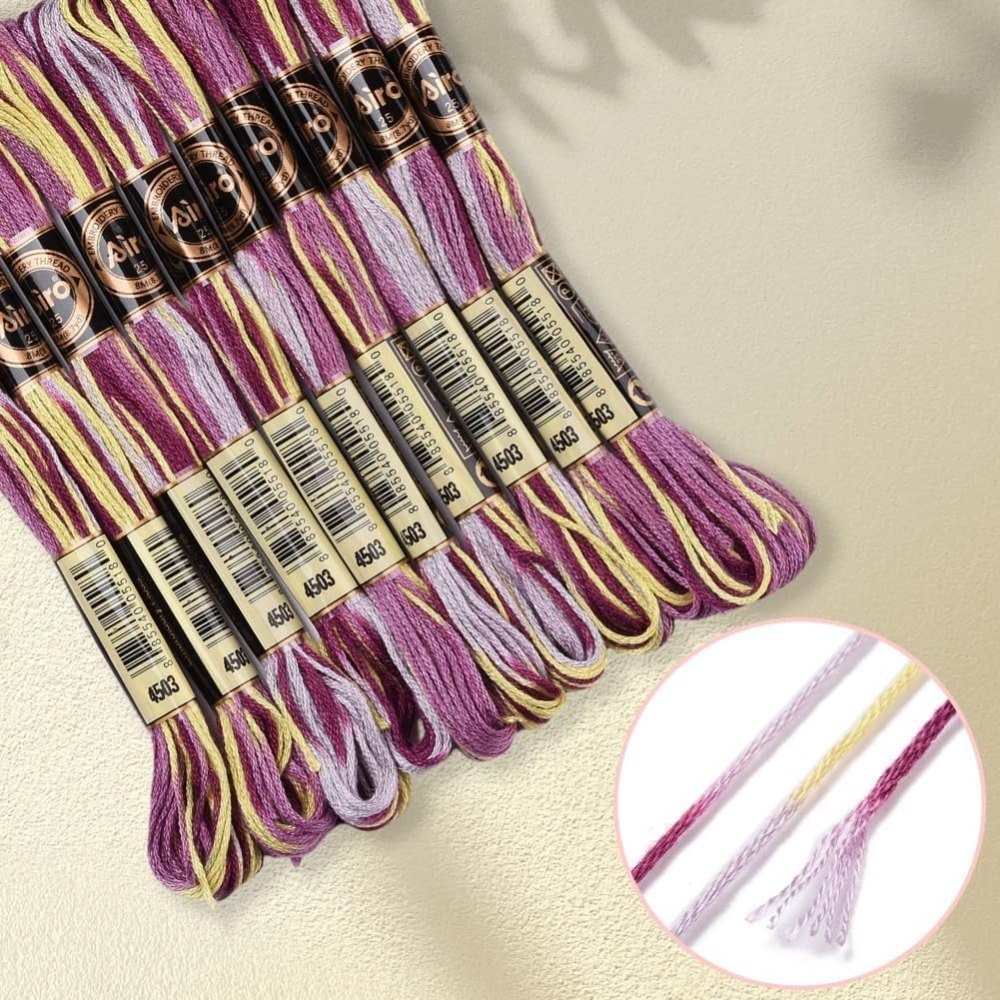 6 Strands Purple Variegated Em - Embroidery Thread 评论和价格